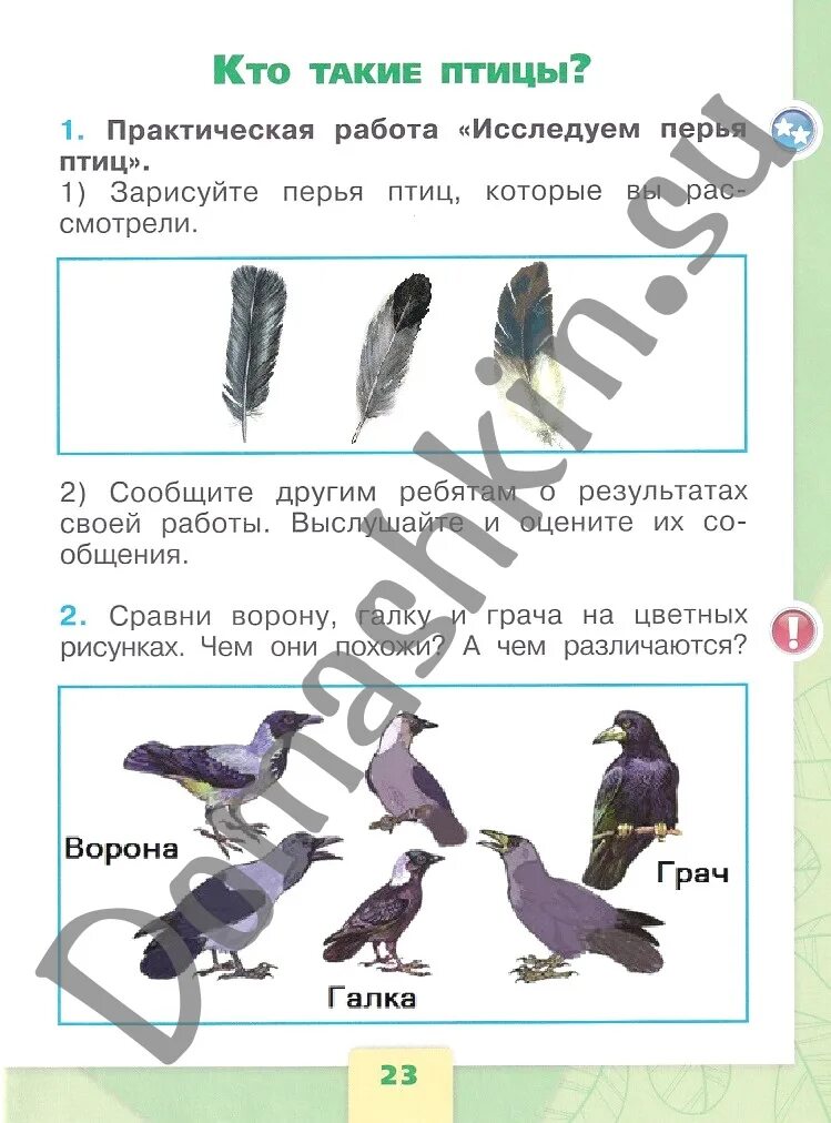 Окружающий мир 1 класс 23 год