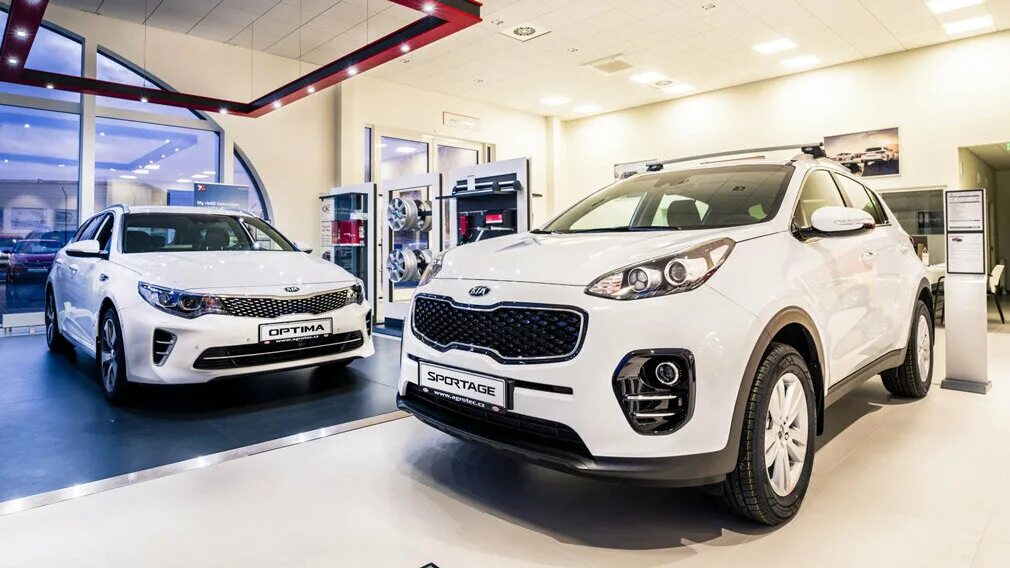 Киа новый дилерский центр. Киа Модельный ряд 2022. Kia Россия Москва. Kia Motors Russia 2022.