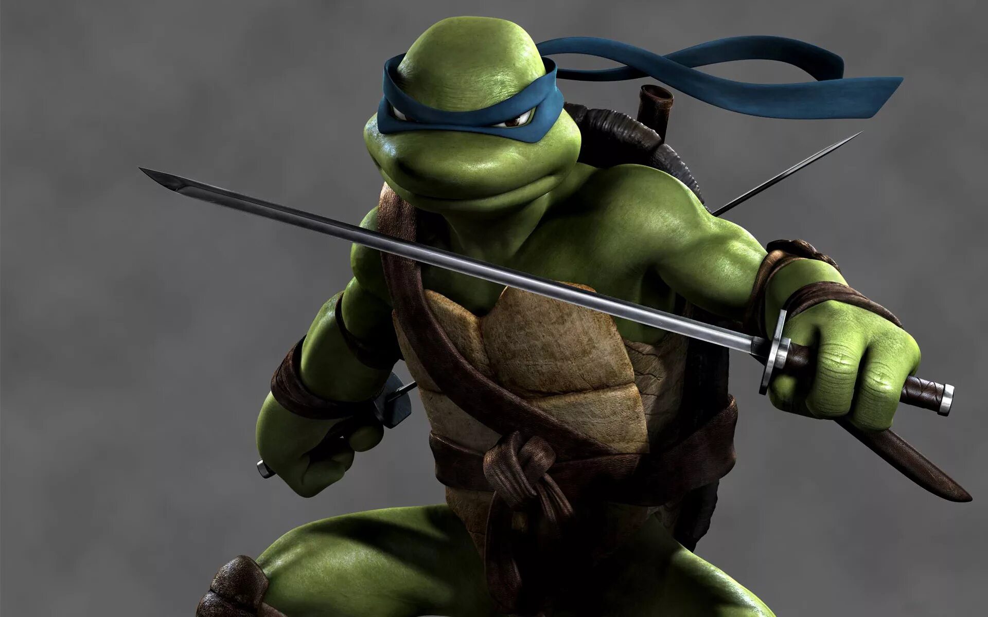 Leonardo turtle