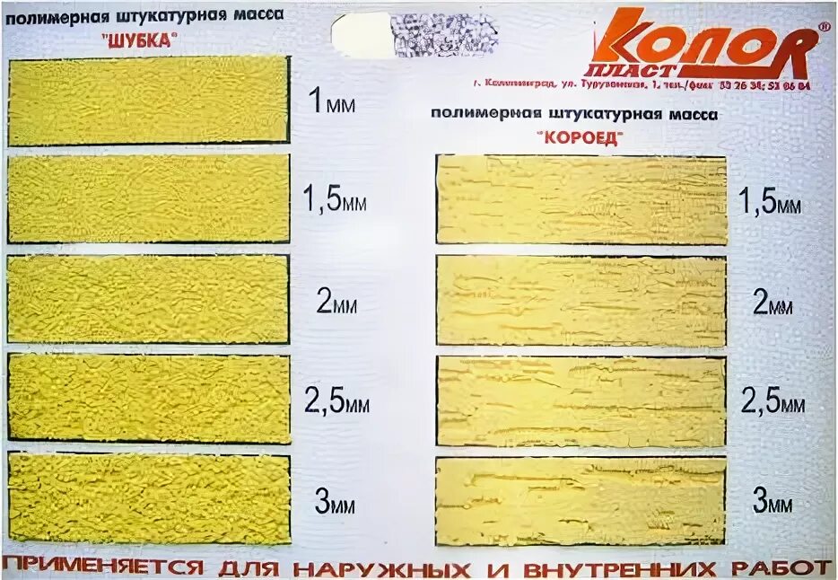 Какой тип развития характерен для короеда