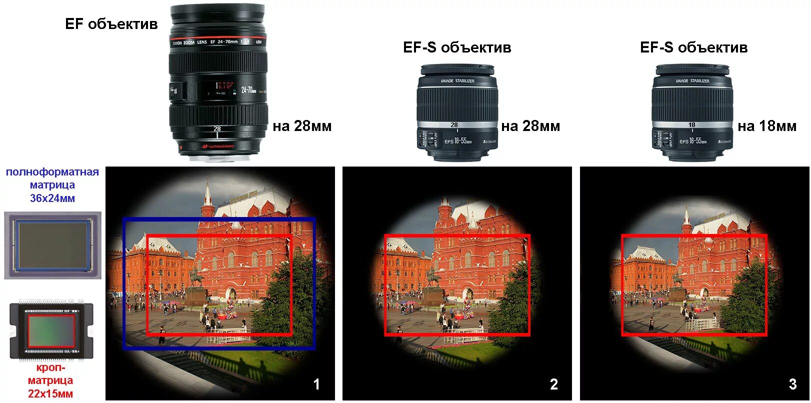 35 и 3 сравнить. Кроп камеры Canon. Полнокадровые объективы для Nikon. Матрица фотоаппарата кроп. Объективы мегапиксельные размер матрицы 1/1.8.
