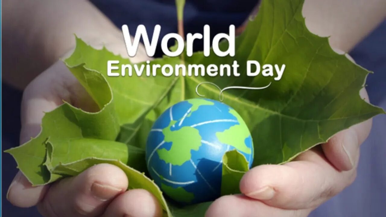 Environment day. World environment day 2025. 5 june world environment day. environmental protection day. day environment 2025.