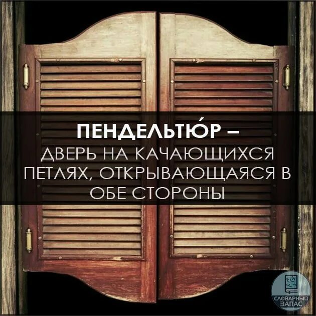 Курвиметр пипидастр и пендельтюр. Курвиметр пипидастр и пендельтюр