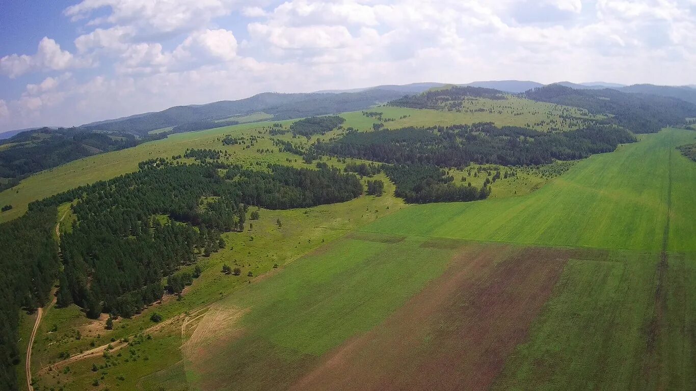 Село пограничный приморский край. Сергеевка Приморский край пограничный район. Сергеевка Приморский край природа. Природа пограничного района Приморского края. Село Софье Алексеевское Приморский край.