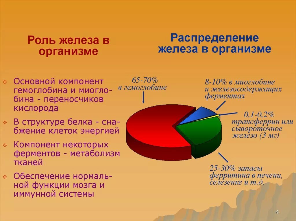 Железо в организме человека его роль