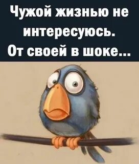 Интересоваться чужой жизнью