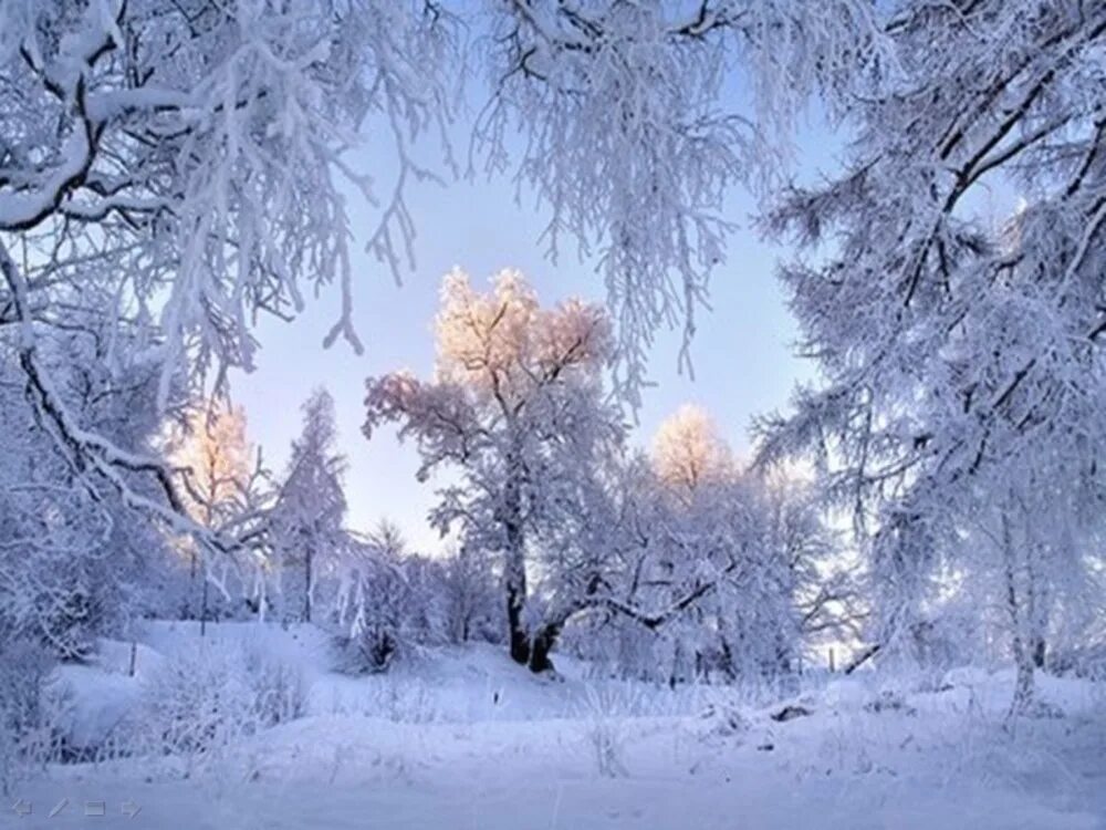 Где снег и мороз. Зимний пейзаж. Красивая зима. Красивая Снежная зима. Сказочный зимний лес.