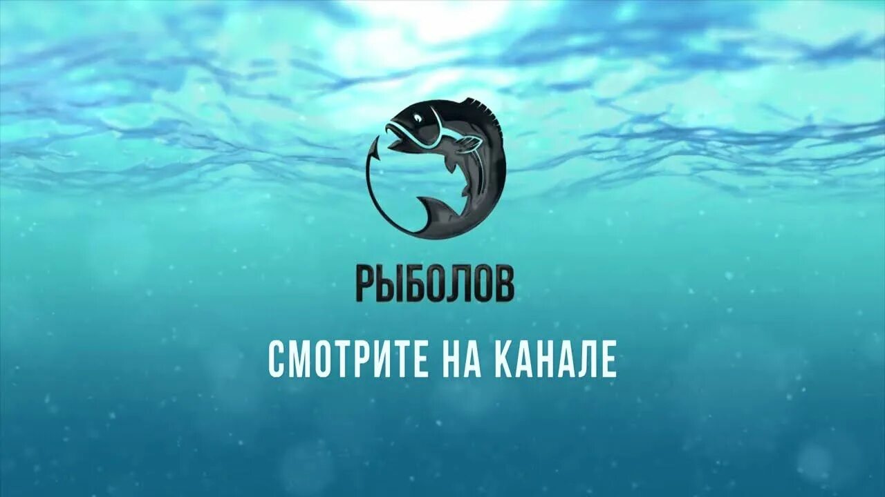 Телеканал рыболов логотип. Канал охотник и рыболов. Канал рыболов. Телеканал рыболов. Эмблема канала рыболов.