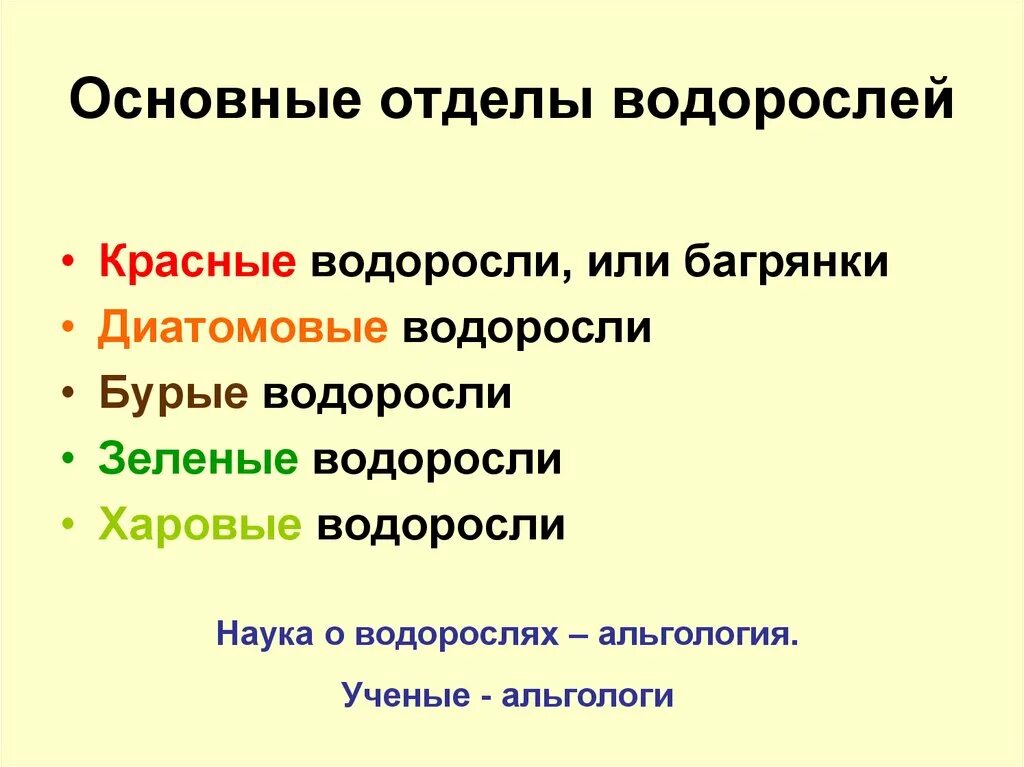 Группа отделов водоросли. Систематика водорослей. Отделы водорослей. Общая классификация водорослей. Современная систематика водорослей.