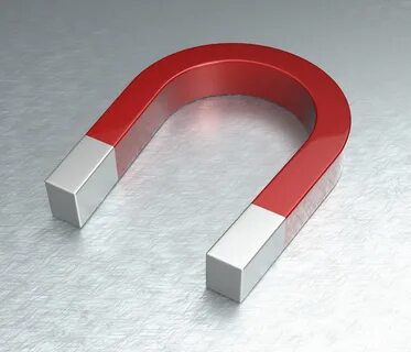 Magnet