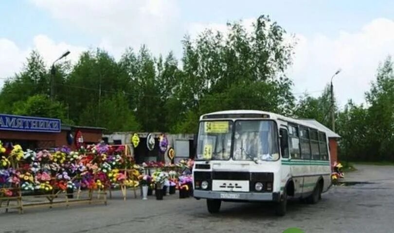 Кладбище школьных автобусов 66 глава. Кладбище автобусов. Автобус до кладбища. Автобус на родительский день. Кладбищенский автобус.