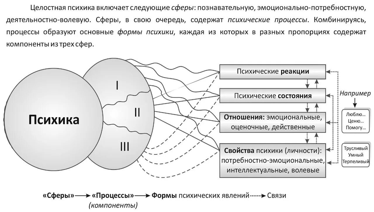 Динамикой психической деятельности человека определяют. Понятие и структура психики. Схема структура человеческой психики. Структура психики человека в психологии. Структура психики психические процессы.