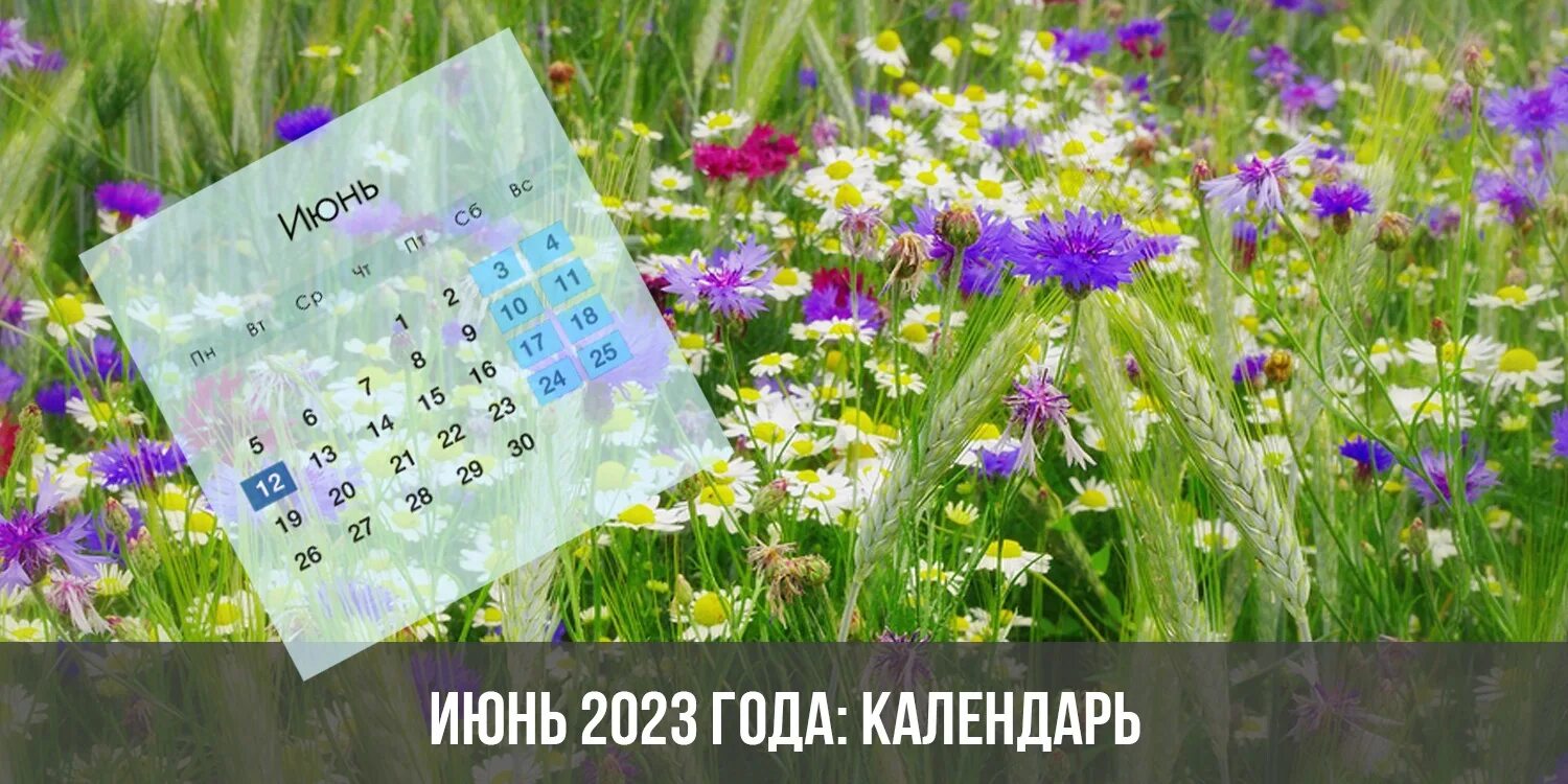 9 июня 2023 года. Календарь на июнь 2023 года. Праздники в июне 2023. Календарь лета 2023. Календарь на июнь 2023г.