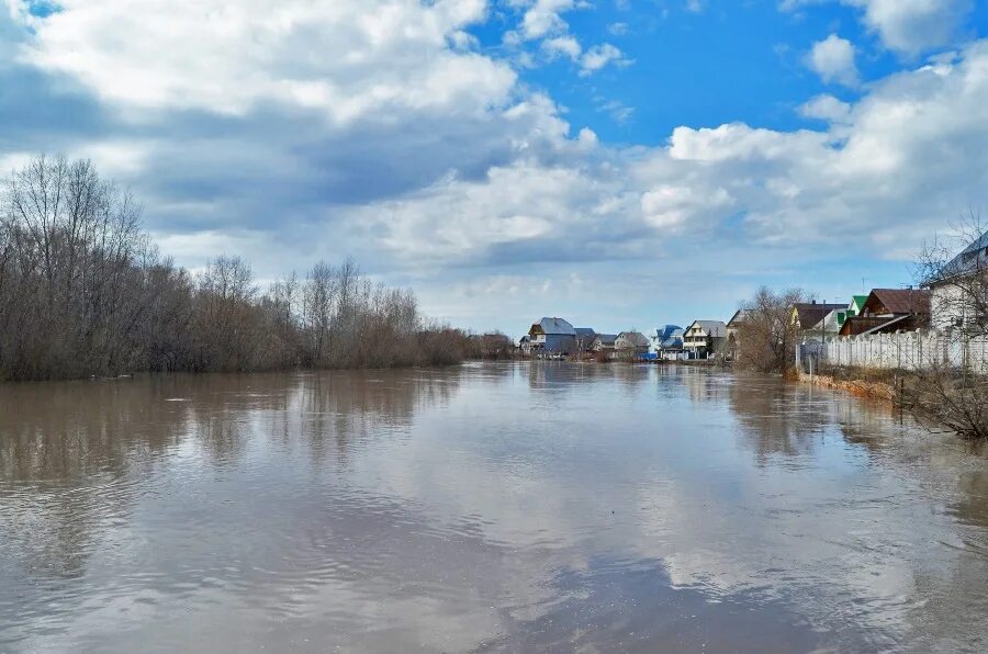 Уровень воды алей