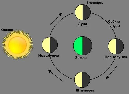 Новолуние 1 неделя. Новолуния полнолуния иконки. 25.10 Новолуние. Новолунием и 1 четвертью включительно. Новолуния 2021