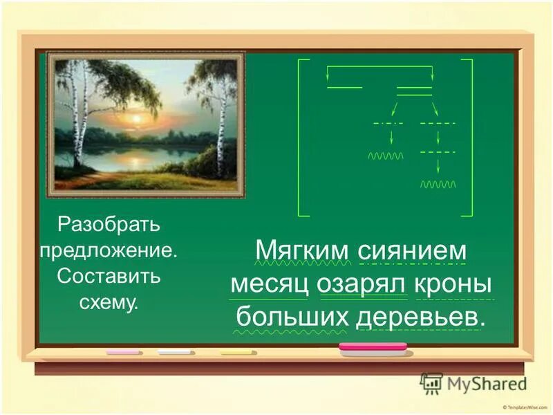 Свет луны в лесу. Подсветка сосен. Дерево на рассвете. Подсветка крон деревьев. Ночной воздух.