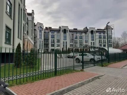 Еловая аллея калининград