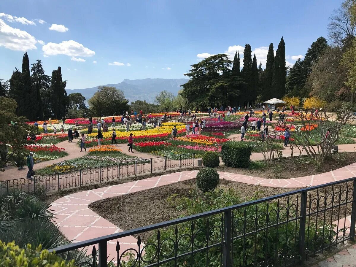 Никитский ботанический сад 2023. Работа в садах крыма. Ботанический сад ялта. Никитский ботанический сад ялта. Никитский ботанический сад крым беседка мальвины.