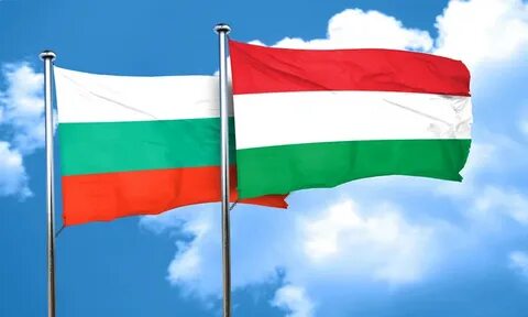 Болгария венгрия 16 ноября