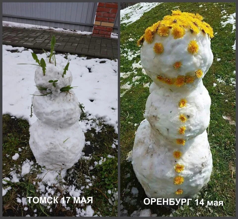 Маевик фото. Шашлык из снеговика прикол. Майский снеговик. Снеговик маевик. Маевик фото.