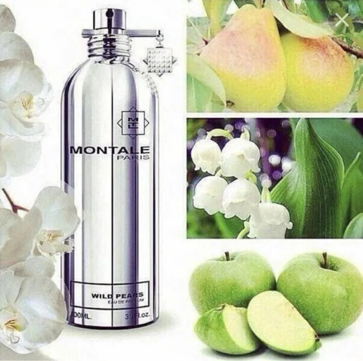 Montale basilic. Духи Montale Wild Pears. Монталь Дикая груша. Монтале духи Дикая груша. Монталь груша духи.