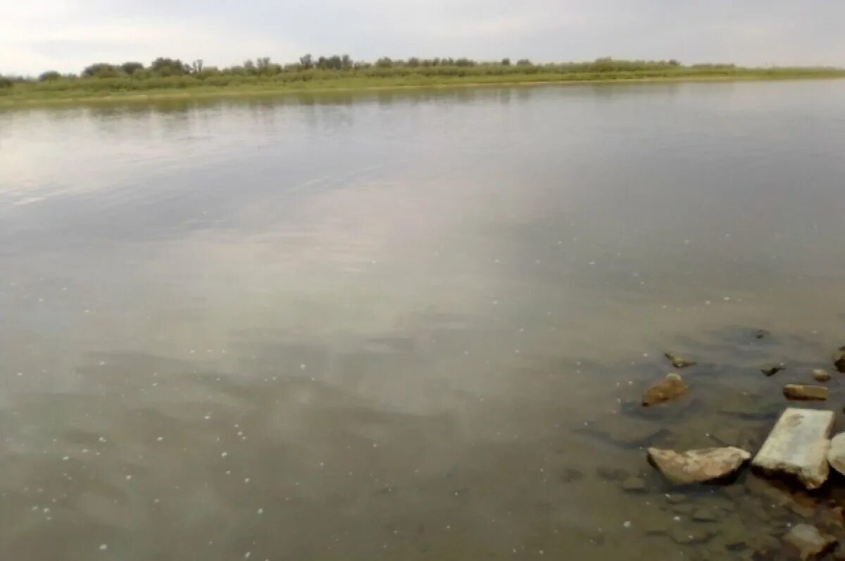 Вода в реке астрахань. Волга в Астраханской области. Астрахань река. Загрязнение Волги. Загрязненная речка.