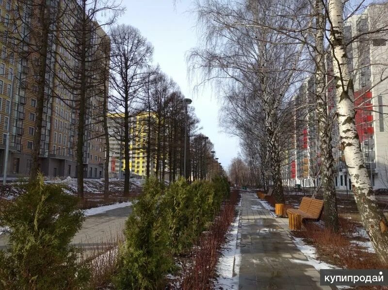 2. Долгопрудная аллея дом 15 корпус 1. Р-н северный долгопрудная аллея 15к2. Москва, долгопрудная аллея, д. Долгопрудная аллея, д.