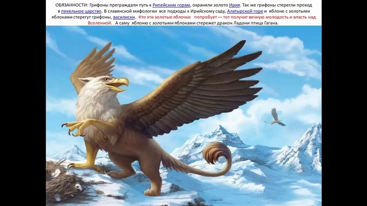 Грифоны существуют