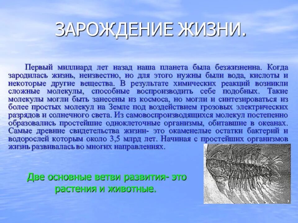 Сколько лет назад зародилась жизнь. Жизнь на земле рассказ. Когал заролилась жизнь. Сообщение о жизни на земле. Жизнь на земле зародилась.