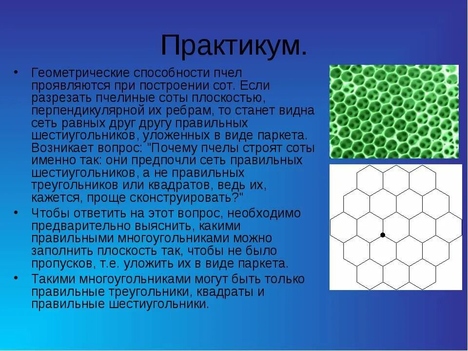 Сот значение. Пчелиные соты геометрия. соты пчелиные геометрическая фигура. форма пчелиных сот в геометрии. фигура соты как называется.