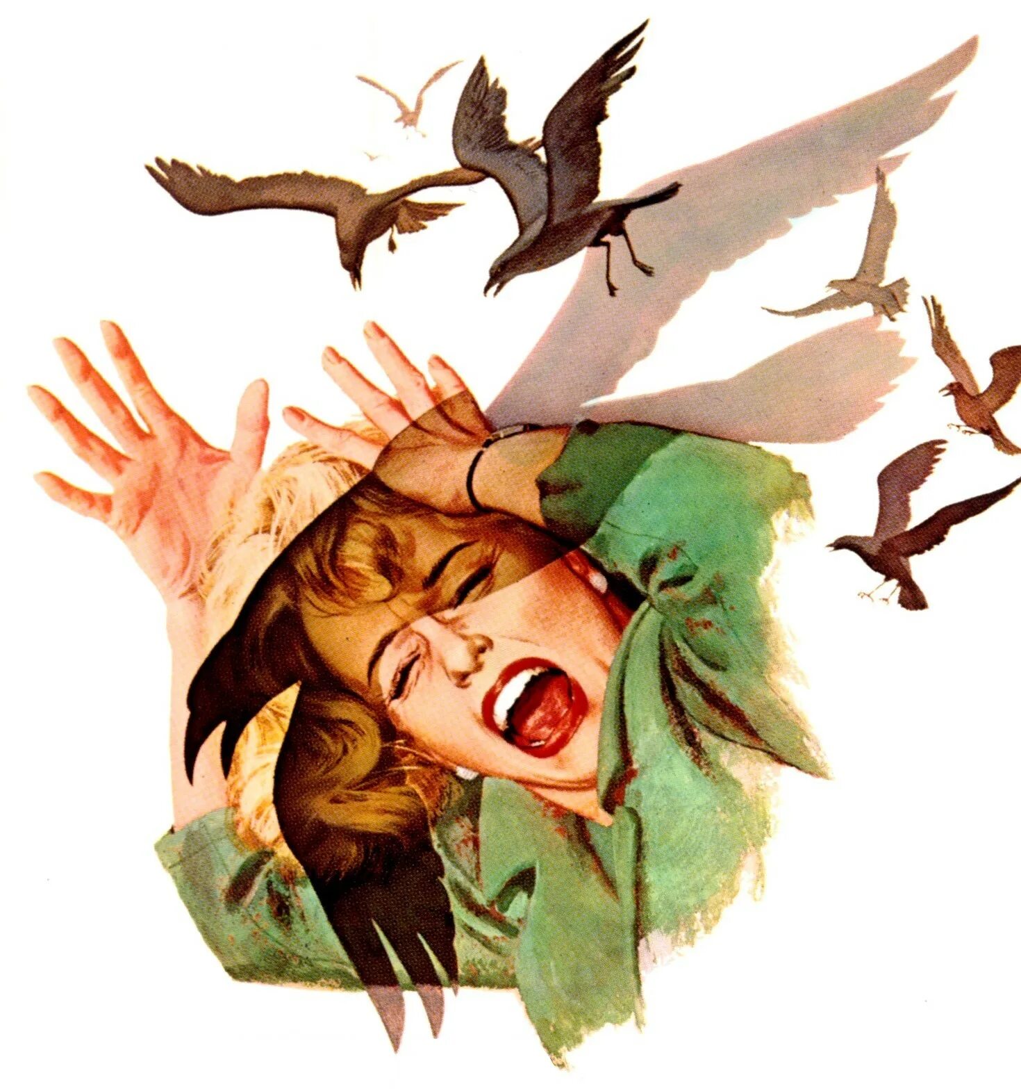 The birds part 1. The birds part 1