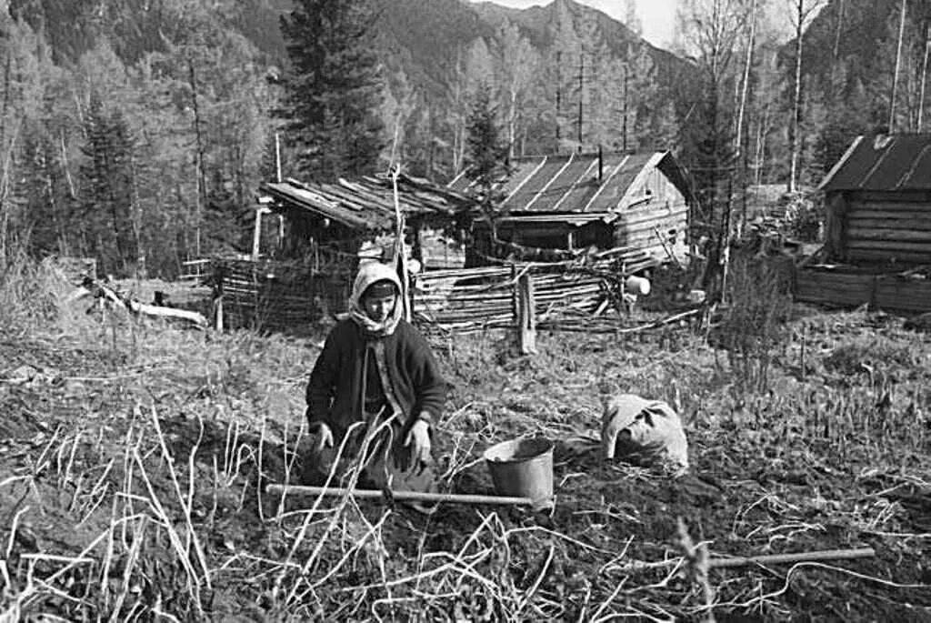 Лыковы отшельники википедия. Лыковы таежный тупик. Лыковы отшельники википедия. Лыковы отшельники википедия. Семья староверов в тайге лыковы.