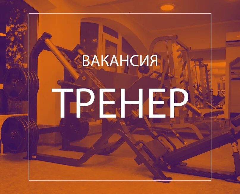 Требуется тренер. Ищем тренера в тренажерный зал. требуется тренер в тренажерный зал. требуется тренер тренажерного зала.