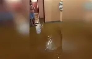 Сын петра 4 потоп читать
