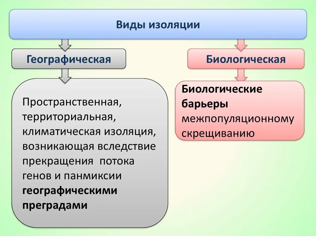 Описание географической изоляции. Формы биологической изоляции. Виды биологической изоляции. Типы изоляции в биологии. Виды изоляции популяций.