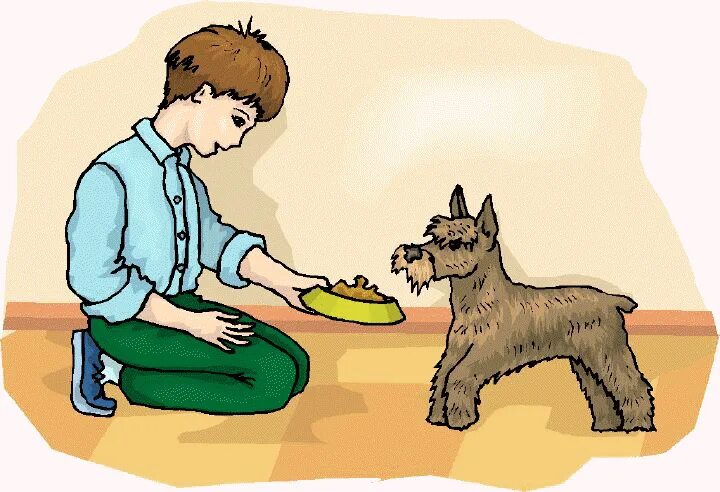Pet глагол. Мальчик кормит собаку. Мальчик с собакой рисунок. Человек с собакой рисунок. Забота о животных рисунок.