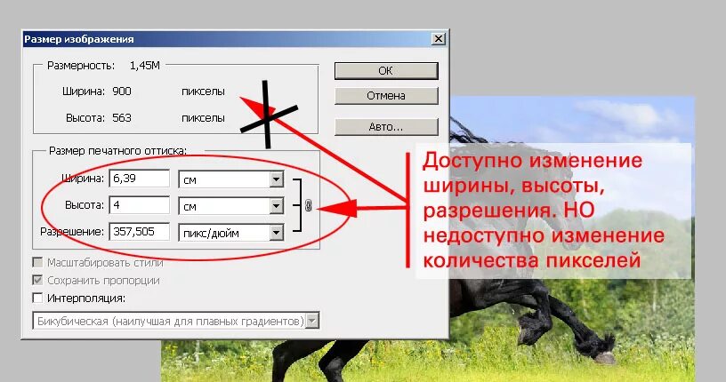 Изменение физического размера изображения. Размеры изображений. Как изменить размер картинки. Изменение размера изображения в пикселях. Размер изображения в фотошопе.