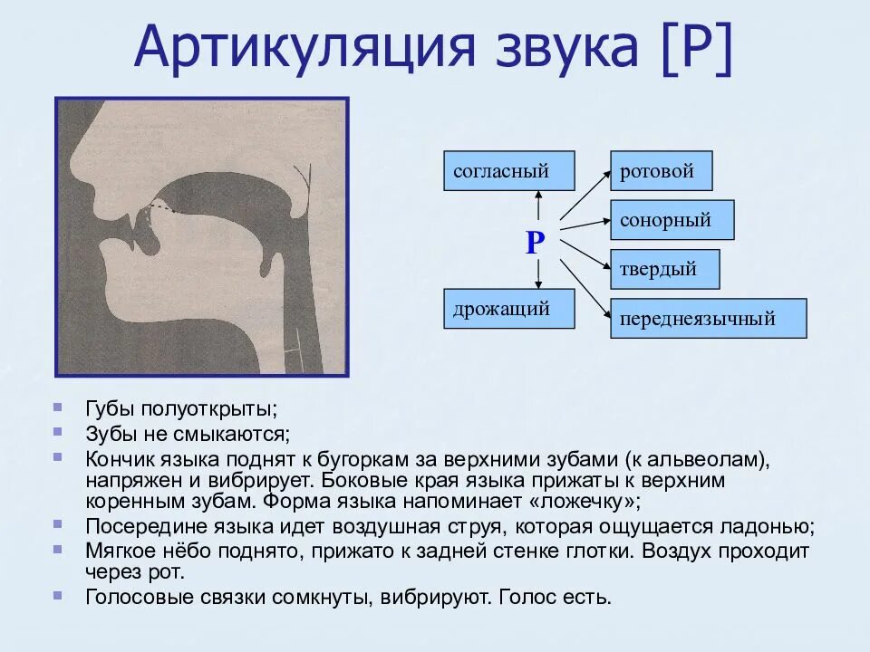 Звукопроизношение артикуляция. Артикуляция звука р. Правильная артикуляция звука р. Артикуляционный профиль звука р. Положение органов артикуляции при произнесении звука р.