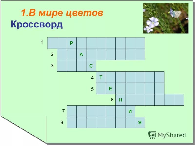 хлопчатобумажная ткань буровато желтого цвета кроссворд. виды тканей. хлопчатобумажная ткань буровато желтого цвета кроссворд. название тканей для одежды. грасрорт по технологии.