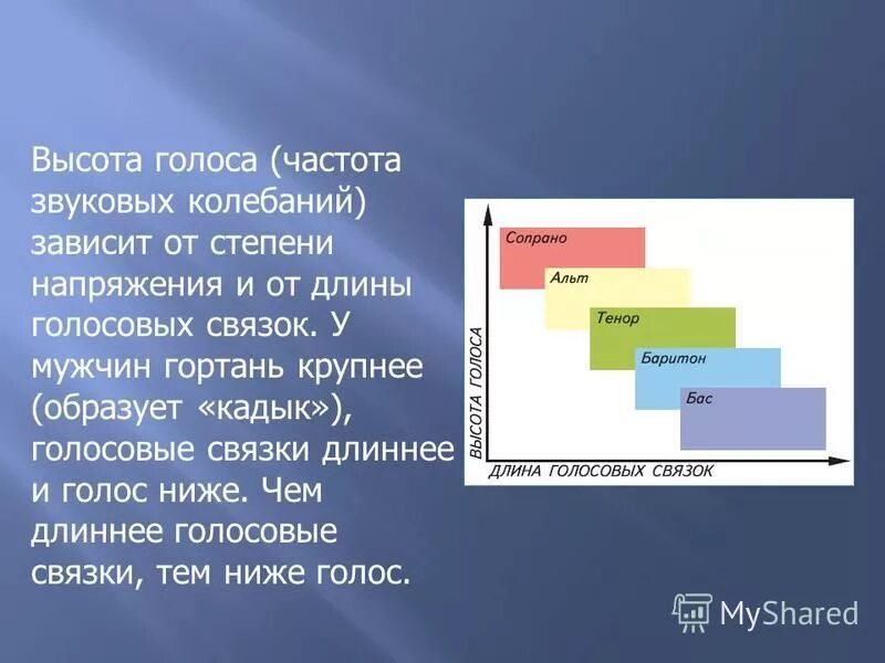 Степень высоты голоса 7 букв. Длина связок и высота голоса. высота голоса зависит. высота голоса человека связана с. альт высота голоса.
