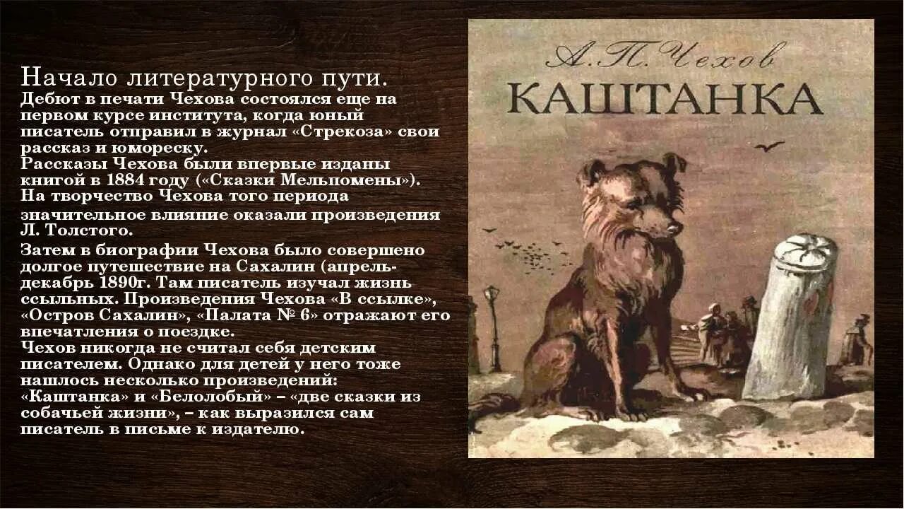 Кратко про произведение. Рассказ а п Чехова каштанка. Каштанка Чехов краткое описание для презентации. Произведение Антона Павловича Чехова каштанка. А П Чехов каштанка краткий пересказ.