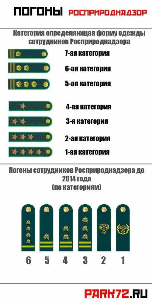 Звания в ФССП России по возрастанию с погонами. Референт государственной гражданской службы 3 класса погоны ФССП. Чины государственной гражданской службы РФ погоны. Референт 3 класса государственной гражданской службы погоны.