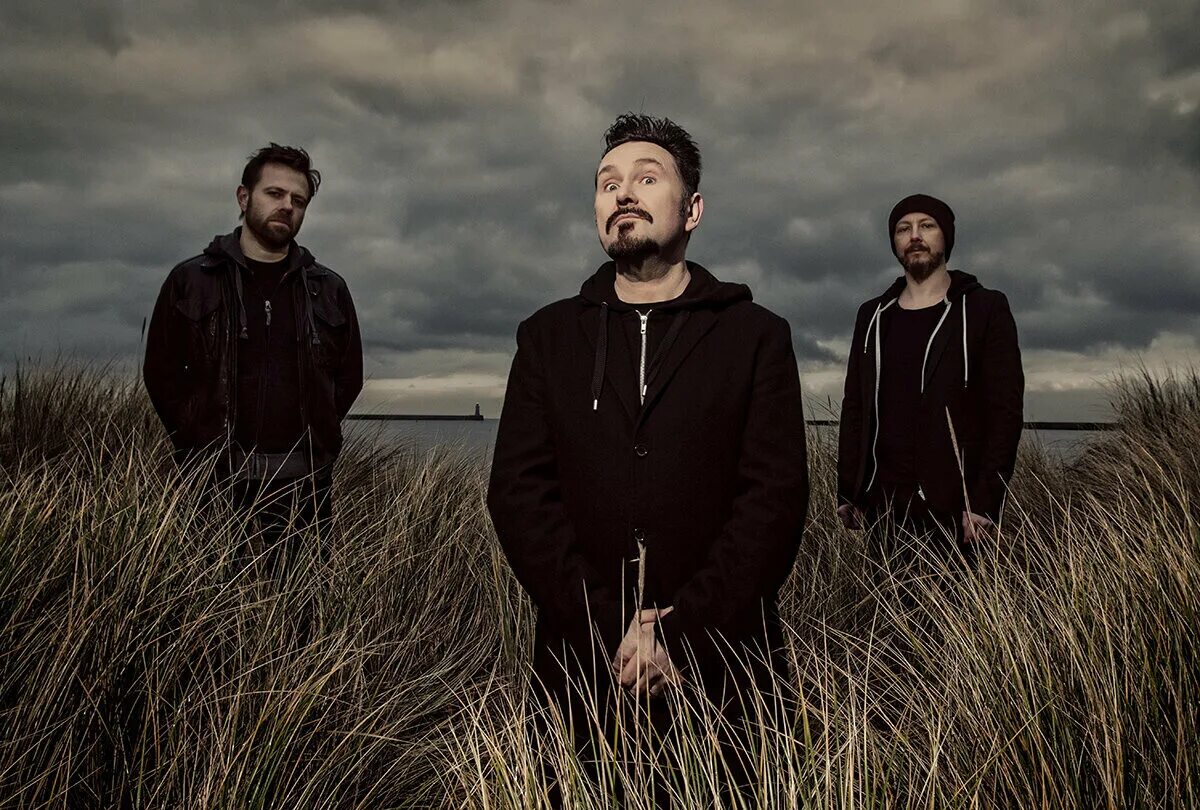 Встреча с психологом. Профессиональный психолог. Therapy. Прием у психолога. Психотерапия.