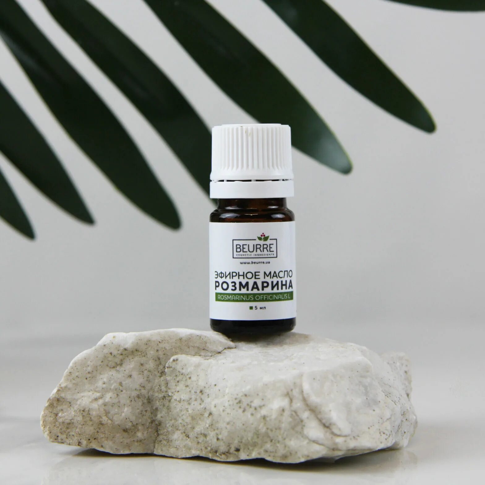 Бить масло. Масло бэй dnc, 55 мл. Масло бей цвет. Бить масло. Бить масло.