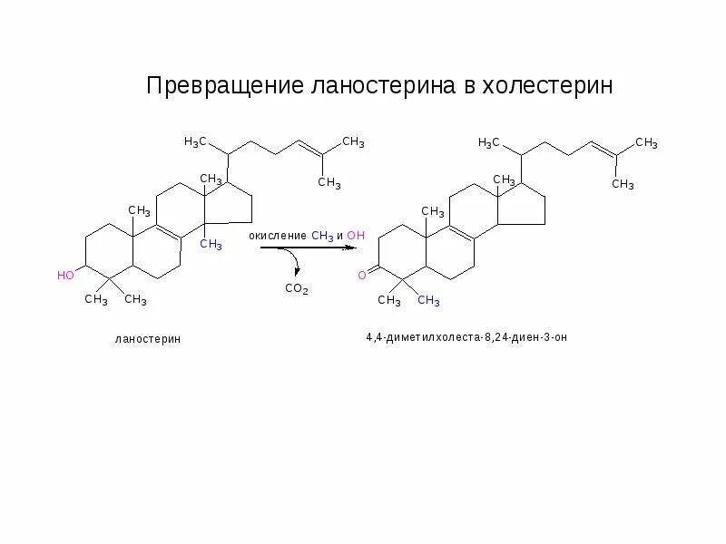 Формула холестерола. Холестерин формула биохимия. Ланостерин формула структурная. Сквален биохимия. Ланостерин в холестерин.