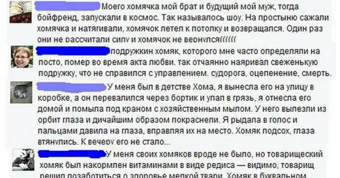 Страшный истории хомяка