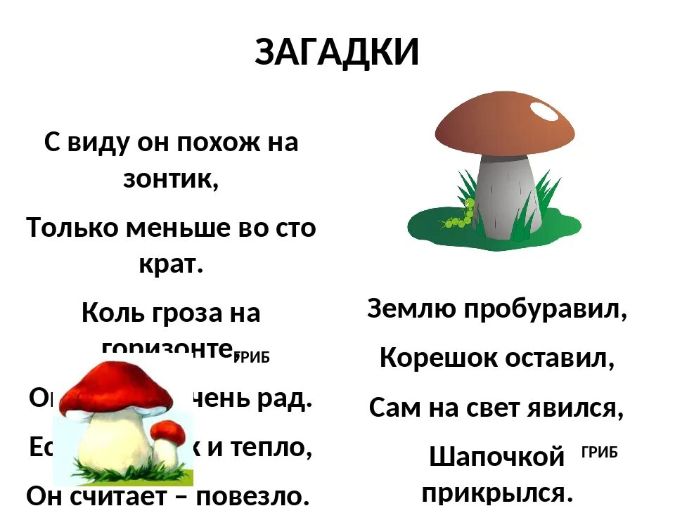 Типа грибы текст. Типа грибы текст