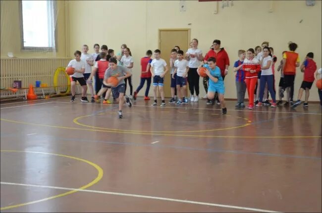 школа 1467 классы