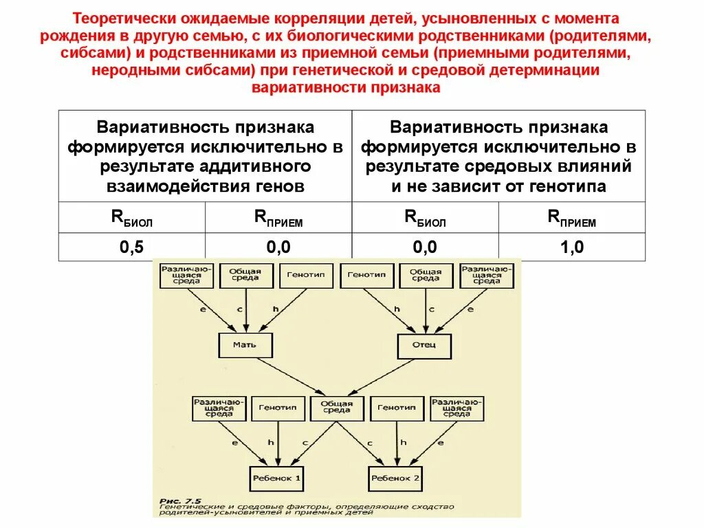 Основные понятия психогенетики. Психогенетические методы. Этапы развития психогенетики. Основные методы психогенетики. Наследственное средовое