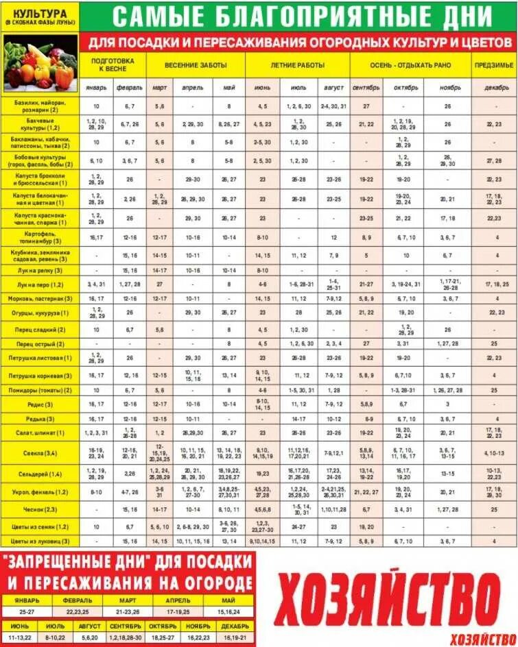 Благоприятные дни в феврале 2024г. Луннопасевной календарь. Посевной календарь. Поселочный лунный календарь.. Календарь посадок.